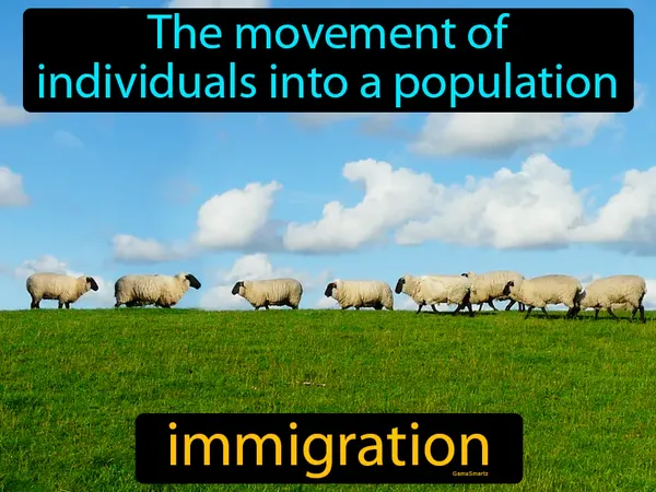 the movement of individuals into a population