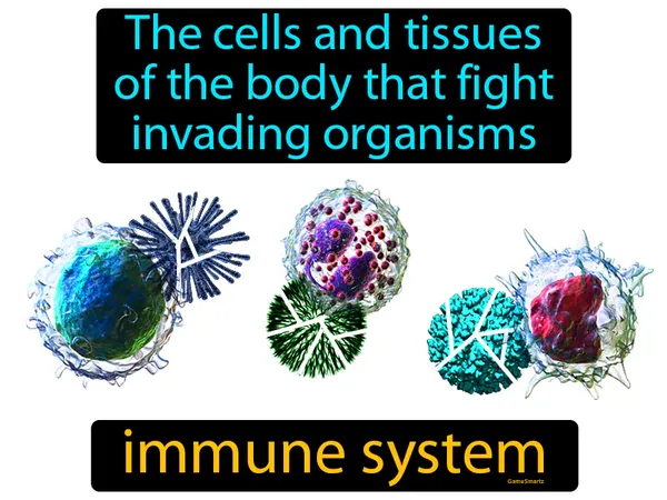 the cells and tissues of the body that fight invading organisms