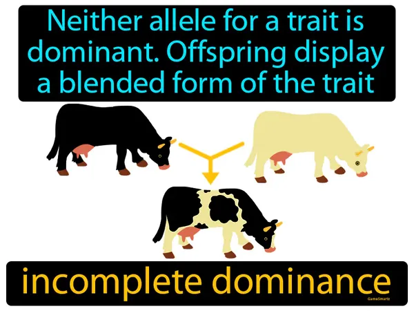 neither allele for a trait is dominant, offspring display a blended form of the trait
