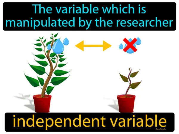 the variable which is manipulated by the researcher