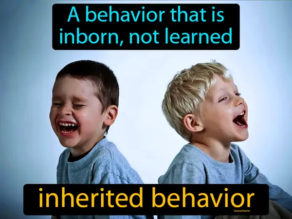 a behavior that is inborn, not learned