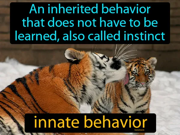 an inherited behavior that does not have to be learned, also called instinct