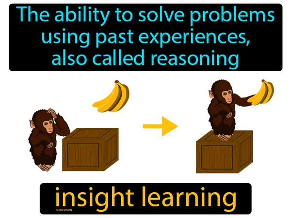 the ability to solve problems using past experiences, also called reasoning