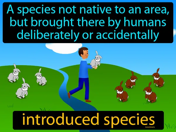 A species which arrived in ecosystem by human activity