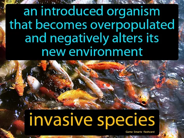 An introduced organism that becomes overpopulated and negatively alters its new environment