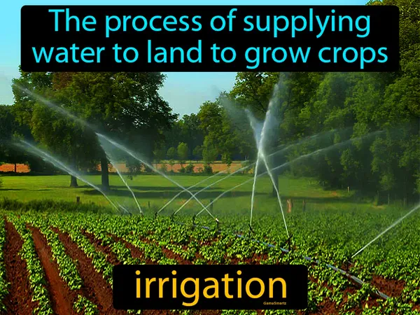 the process of supplying water to land to grow crops