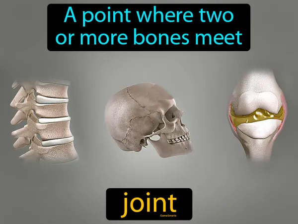 a point where two or more bones meet