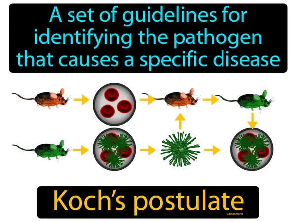 a set of guidelines for identifying the pathogen that causes a specific disease