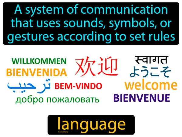 a system of communication that uses sounds, symbols, or gestures according to set rules