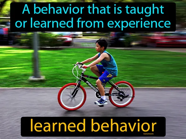a behavior that is learned from experience