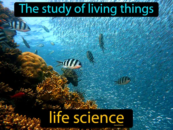 the study of living things