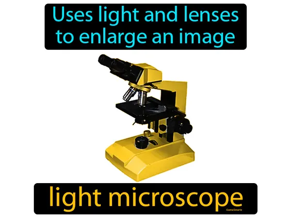 uses light and lenses to enlarge an image