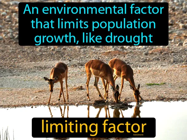 an environmental factor that limits population growth, for example, a drought