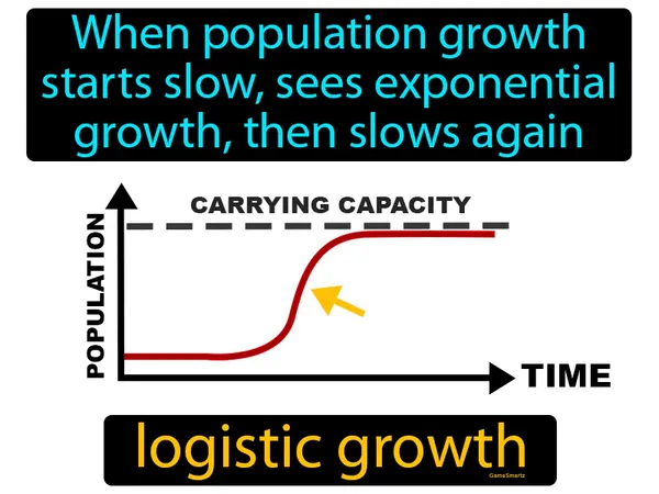 when population growth starts slow, then sees exponential growth, then slows again