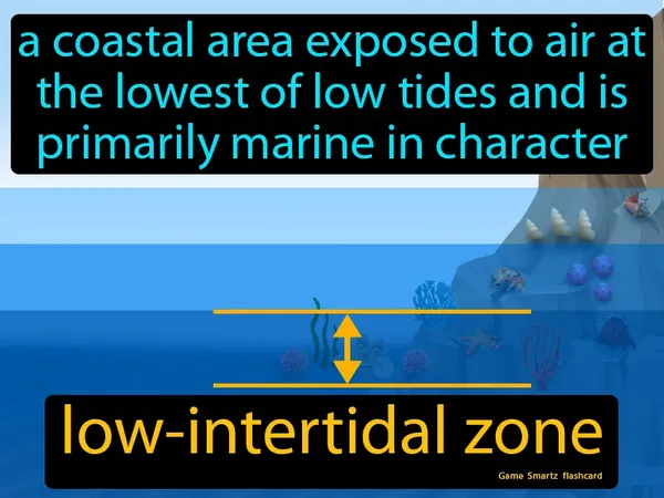 A coastal area exposed to air at the lowest of low tides and is primarily marine in character
