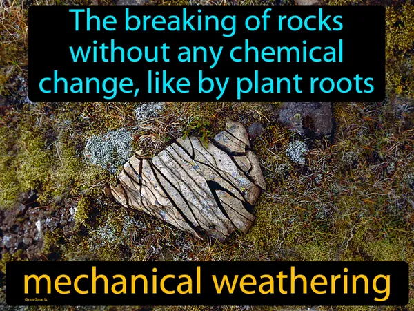 the breaking of rocks without any chemical change, like by plant roots