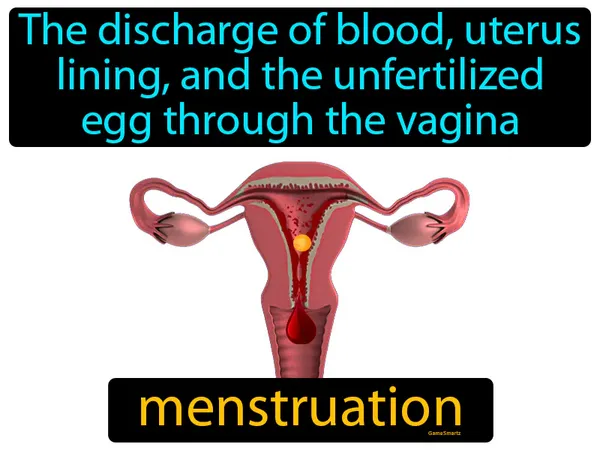 the discharge of blood, uterus lining, and the unfertilized egg through the vagina