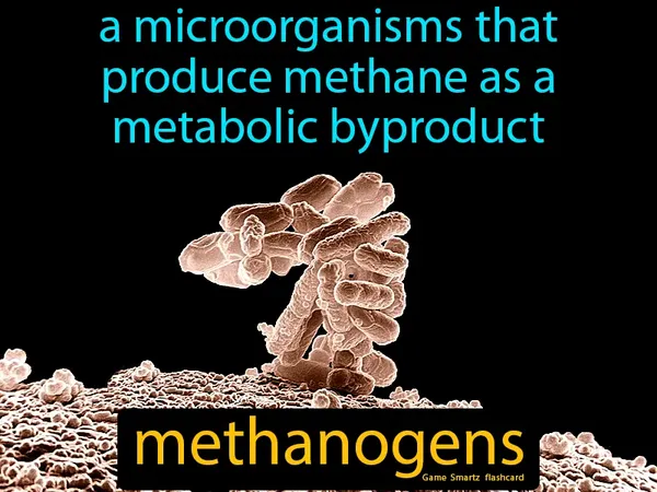 A microorganisms that produce methane as a metabolic byproduct