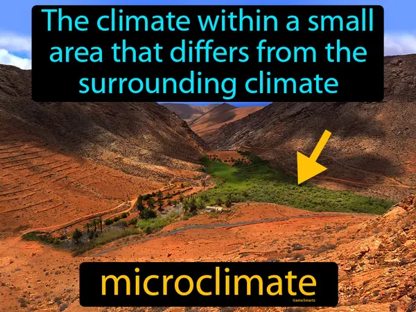 the climate within a small area that differs from the surrounding climate