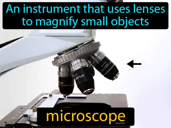 an instrument that uses lenses to magnify small objects