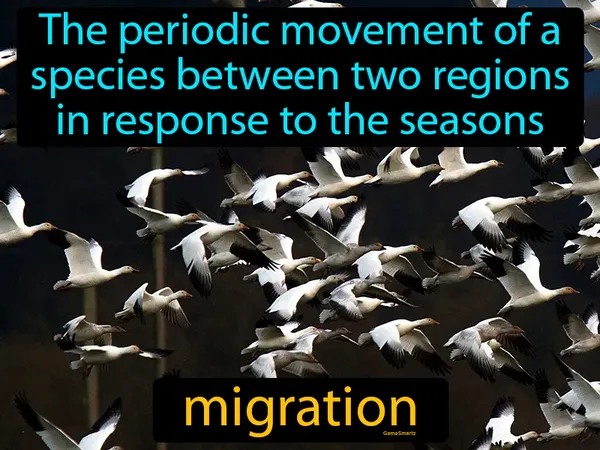 the periodic movement of a species between two regions in response to the seasons