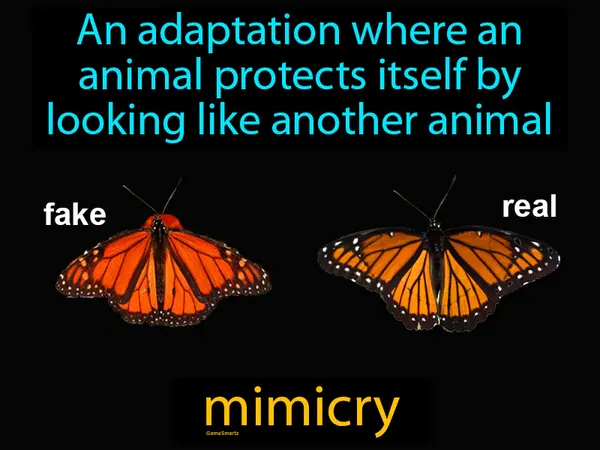 an adaptation where an animal protects itself by looking like another animal