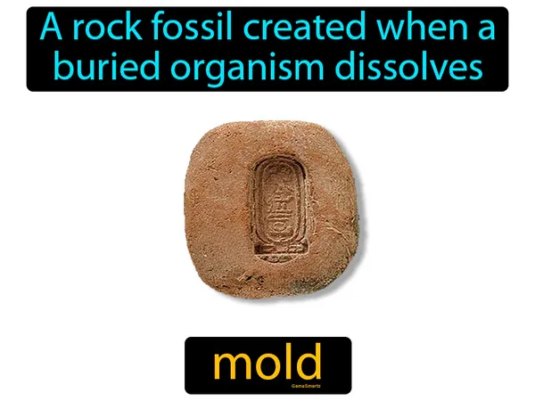 a rock fossil created when a buried organism dissolves