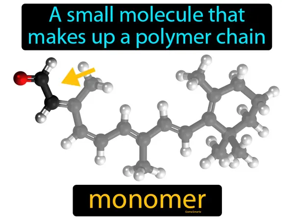 a small molecule that makes up a polymer chain