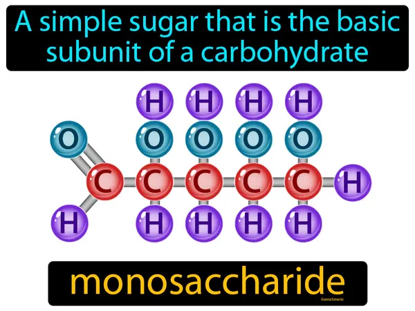 a simple sugar that is the basic subunit of a carbohydrate