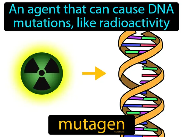 an agent that can cause DNA mutations, like radioactivity