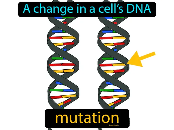 a change in a cell’s DNA