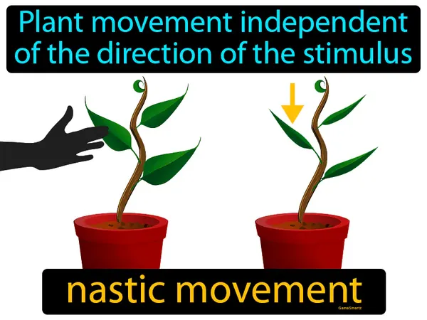 plant movement independent of the direction of the stimulus