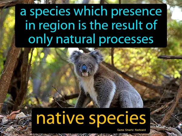A species which presence
in region is the result of
only natural processes