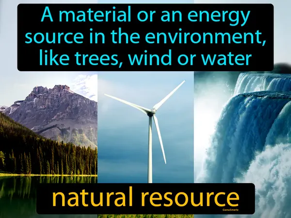 a material or an energy source in the environment, like trees, water or wind