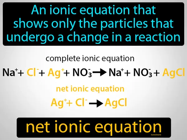 an ionic equation that shows only the particles that undergo a change in a reaction