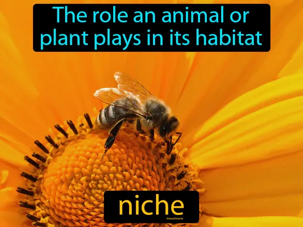 the role an animal or plant plays in its habitat
