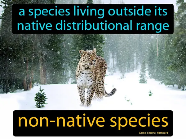 A species living outside its native distributional range