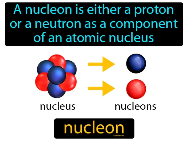 a nucleon is either a proton or a neutron as a component of an atomic nucleus