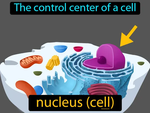 the control center of a cell