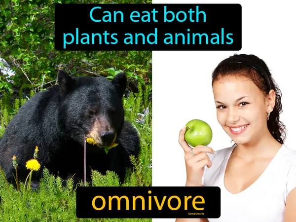 can eat both plants and animals