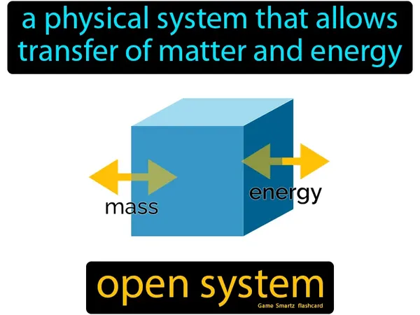 A physical system that allows transfer of matter and energy