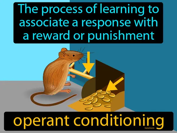 the process of learning to associate a response with a reward or punishment