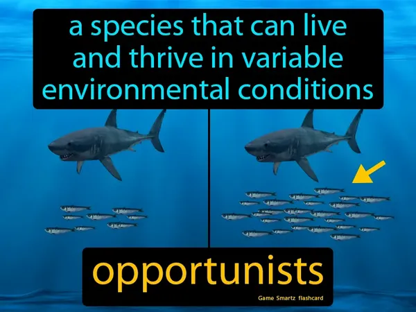A species that can live and thrive in variable environmental conditions