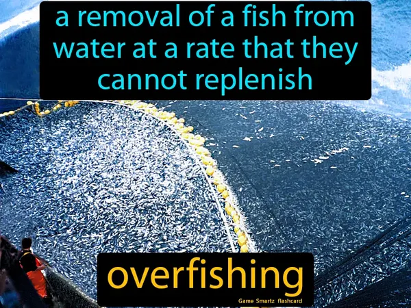 The removal of a fish from water at a rate that they cannot replenish