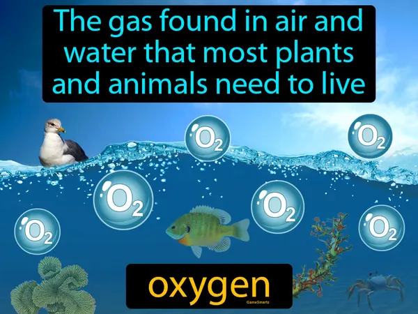 the gas found in air and water that most plants and animals need to live