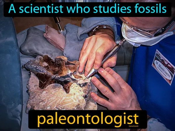 a scientist who studies fossils