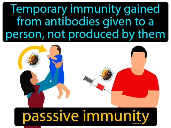 temporary immunity gained from antibodies given to a person, not produced by them