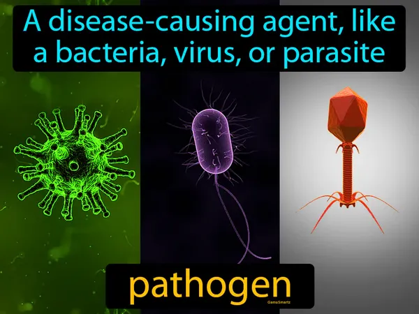 A disease-causing agent, like a bacteria, virus, or parasite