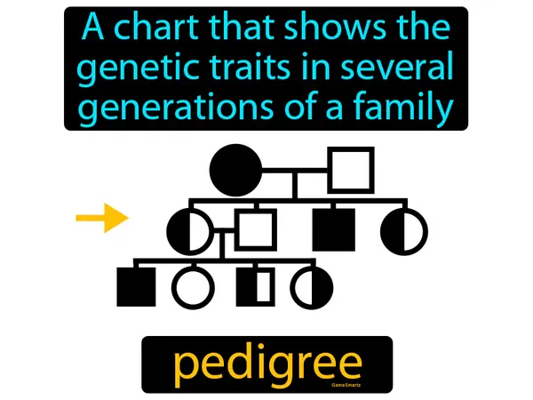 a chart that shows the genetic traits in several generations of a family