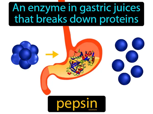 an enzyme in gastric juices that breaks down proteins